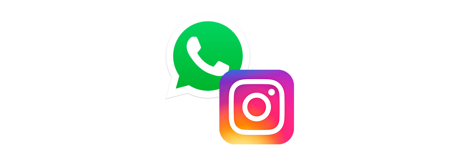 Como Recuperar a Senha do Instagram pelo WhatsApp e Recuperar uma Conta Suspensa